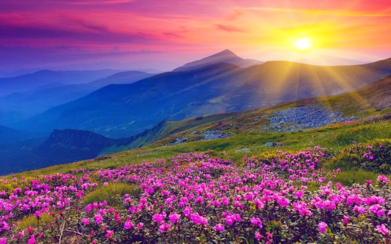 valleyofflowersmukteshwar