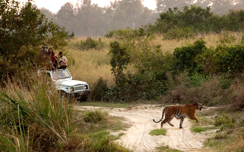wildlife sanctuary in raigarh india