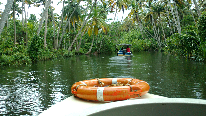 backwaters-of-kerala-india