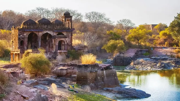 Travel Tips for Visitors Visiting Ranthambore National Park