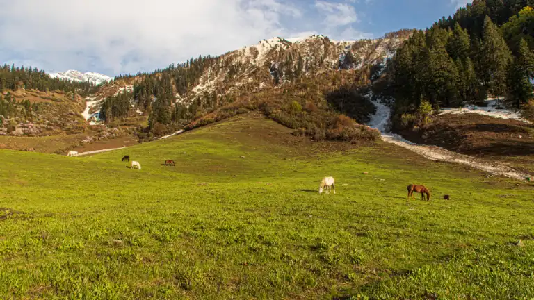 Tourist Attractions Near Khajjiar