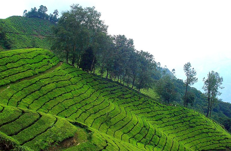 Ooty – Hills Of South India