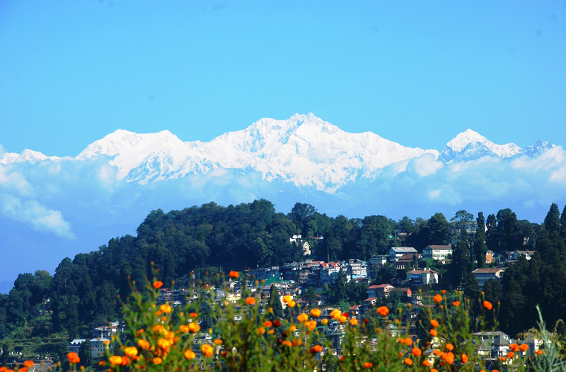 darjeeling India