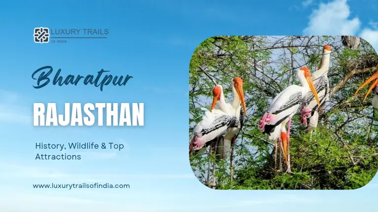 Bharatpur, Rajasthan