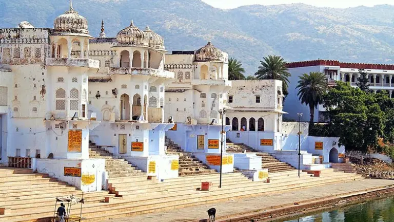 The Historical & Cultural Significance of Pushkar Camel Fair