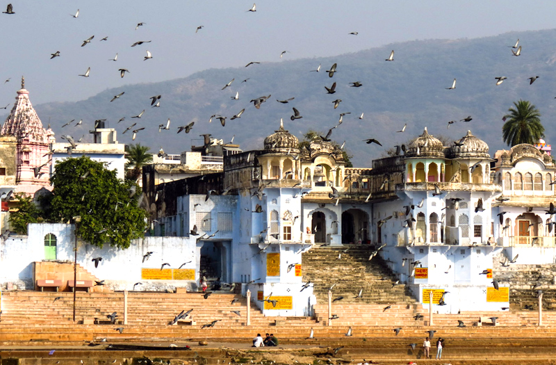 pushkar rajasthan india tour