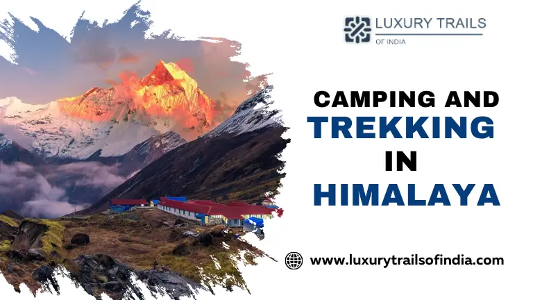 Camping and Trekking in Himalayas