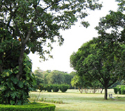 Leisure Valley Chandigarh