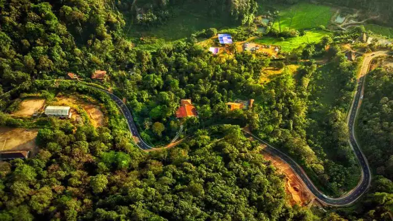 Best Time to Visit Coorg