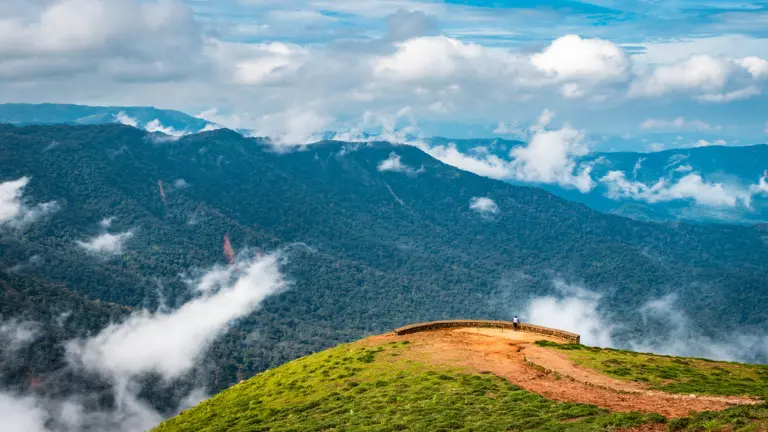 Overview of Coffee Plantations in Coorg