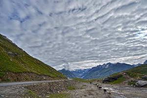 Rohtang pass himachal pradesh 