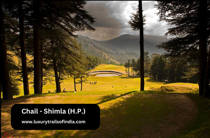 chail shimla