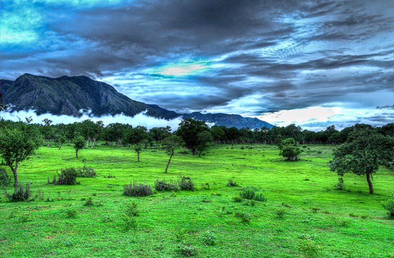 Masinagudi Tamilnadu