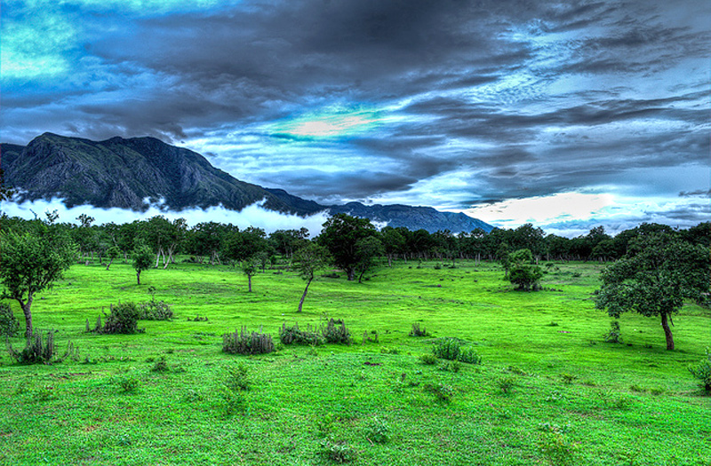 Masinagudi Tamilnadu