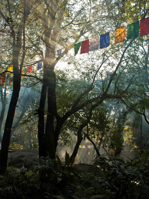 tibetan-art-institute