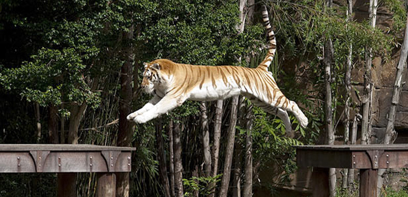 Lonavala Pune Maharashtra