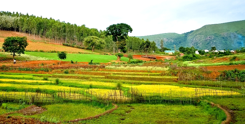 Araku valley Andhra Pradesh