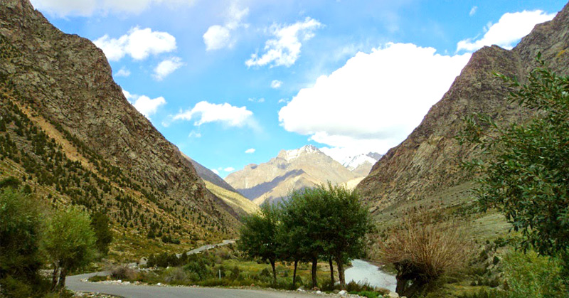 Jamu Peak Renuka Sirmaur Himachal Pradesh