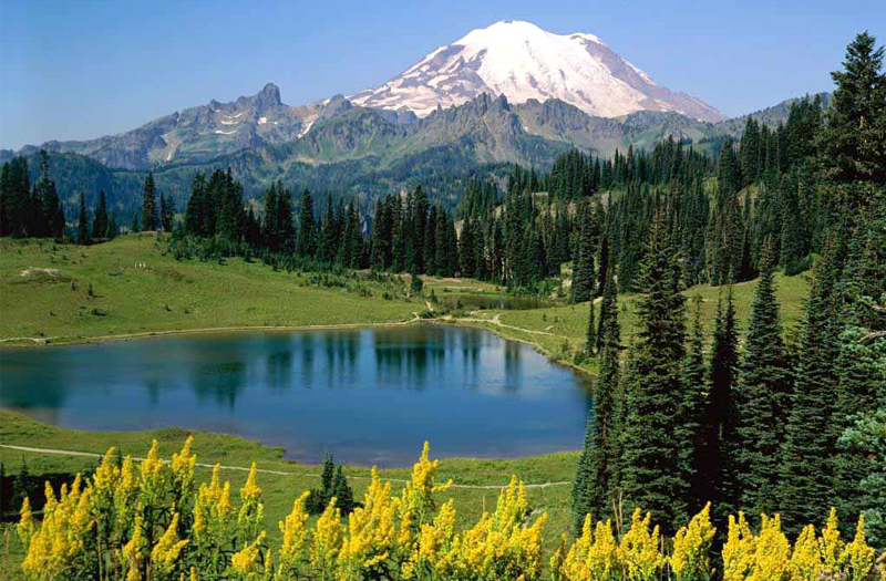 Kalimpong Mountains West Bengal