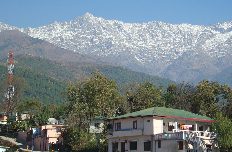 Kangra Valley Himachal Pradesh India