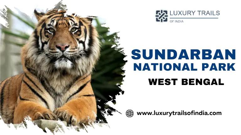 Sundarban National Park West Bengal
