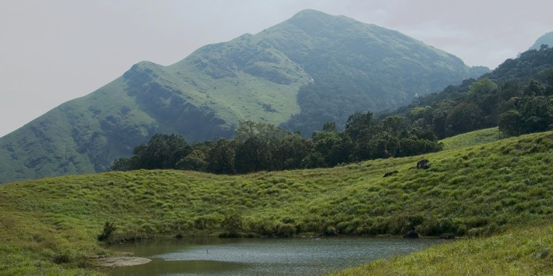 chembra Peak Wayanad Kerala