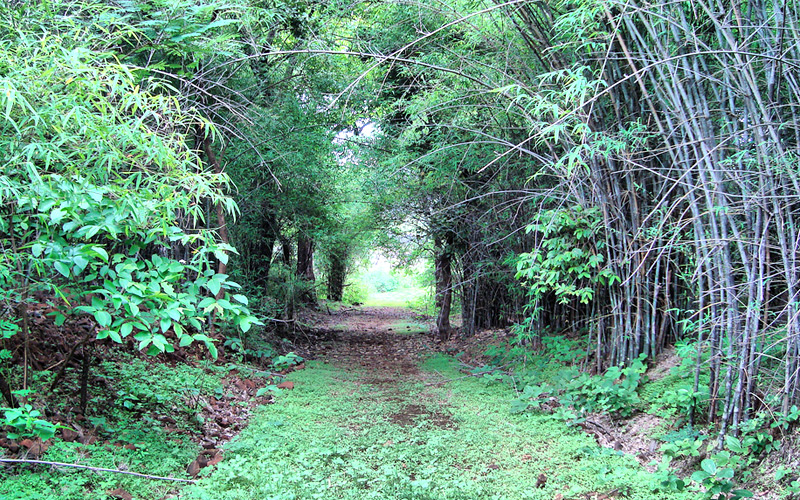 dumna-nature-reserve-park-jabalpur Madhya Pradesh India 