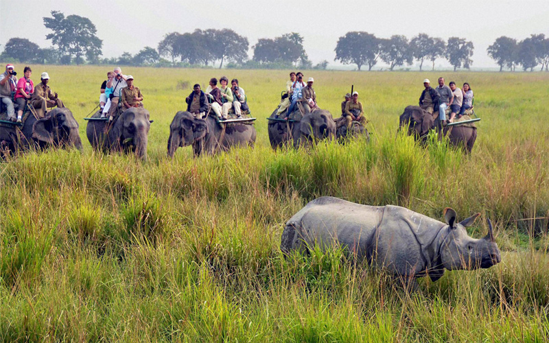 Kaziranga national Park