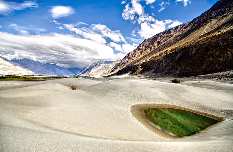 Nubra Valley Ladakh