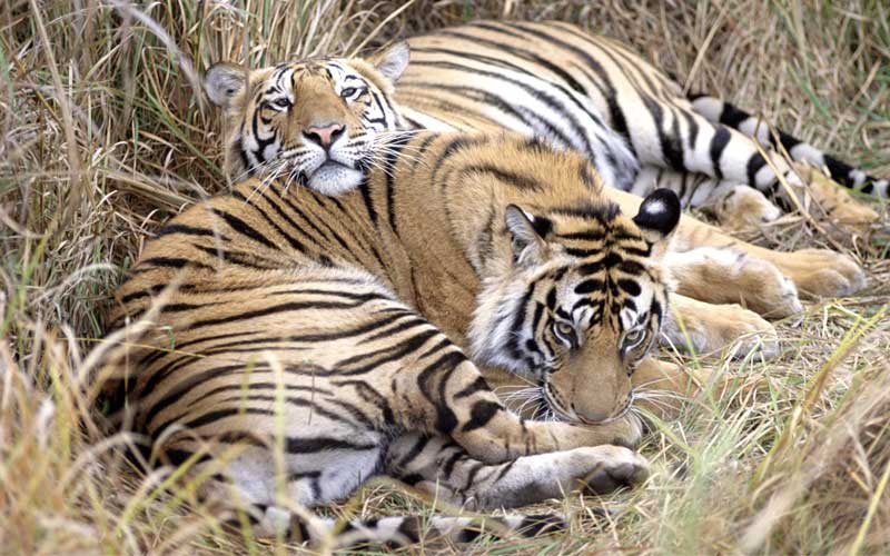 kanger-valley-national-park-jagdalpur