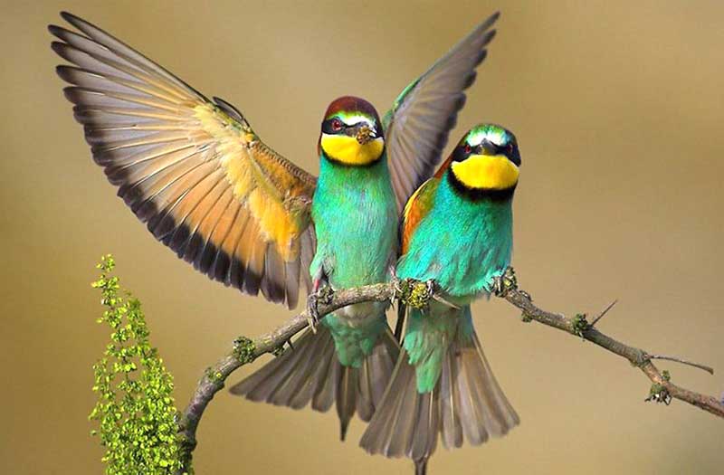 kanger-valley-national-park