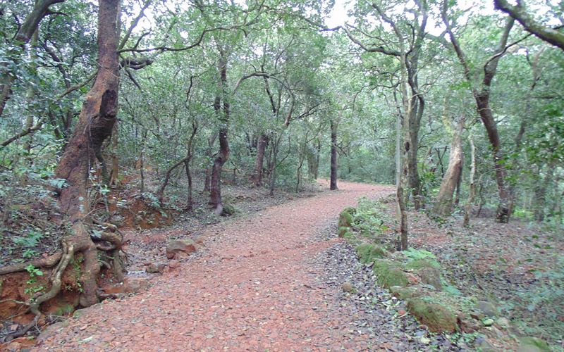 nawroji-lord-garden-matheran