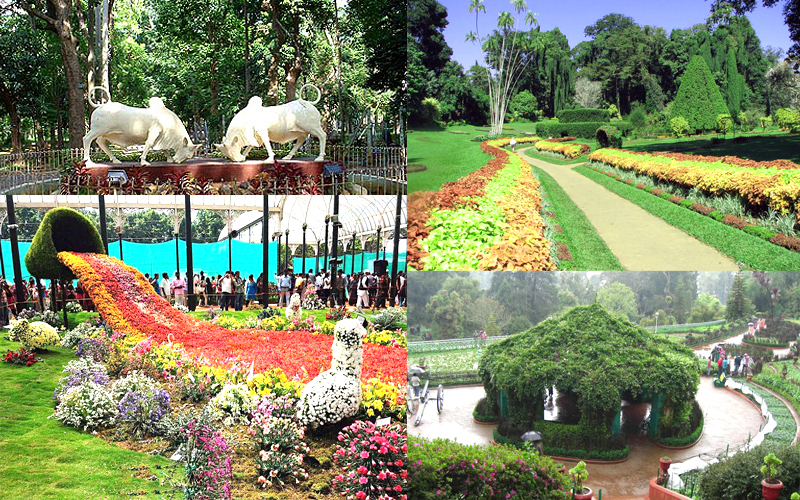 botanical-garden-pondicherry