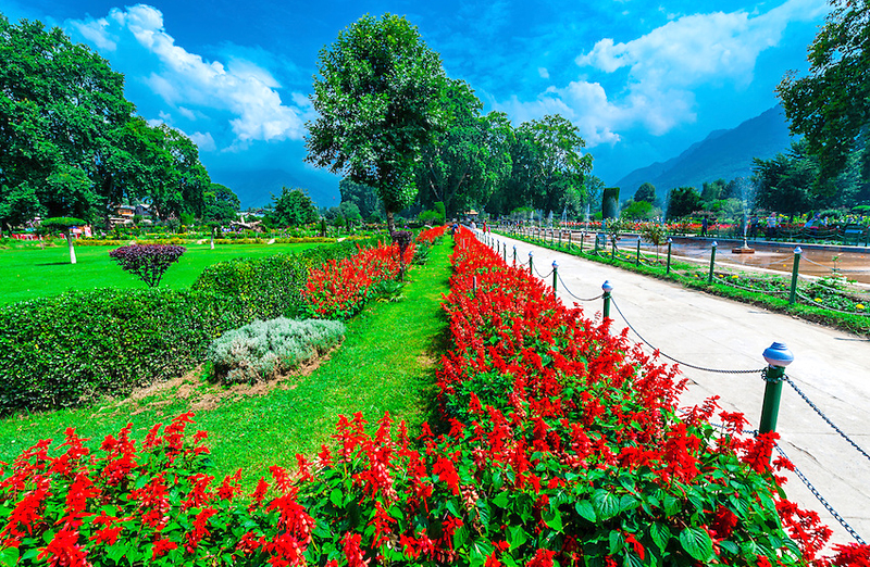 shalimar-bagh-a-mughal-gardensri-nagar