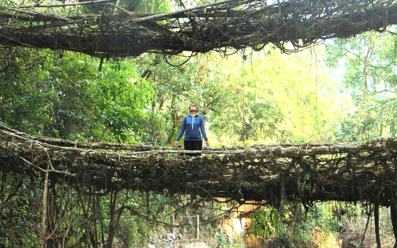 the-living-root-bridges-of-cherrapunji-meghalaya