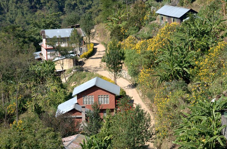 dimapurnagalandindia