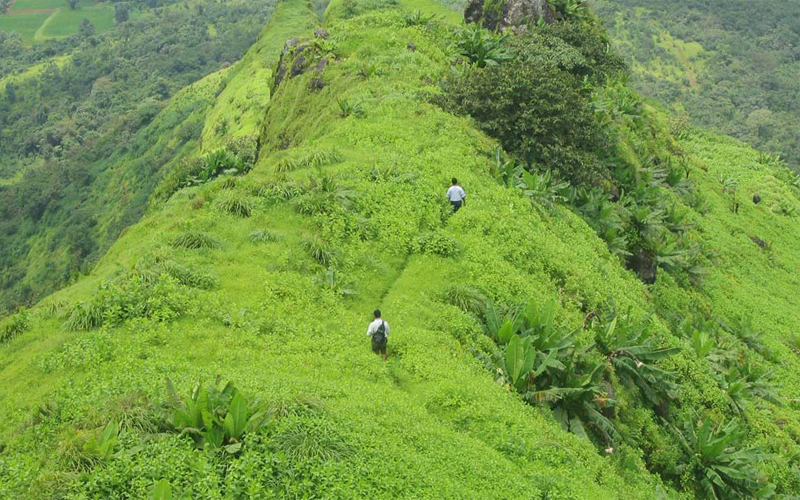 Kamshet Pune Maharashtra - Luxury Trails of India