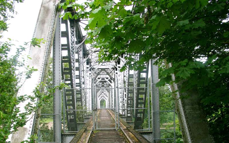 salem historical quarterly india