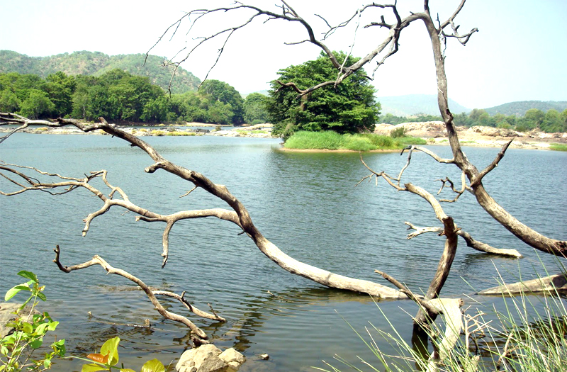 salem tamil nadu india