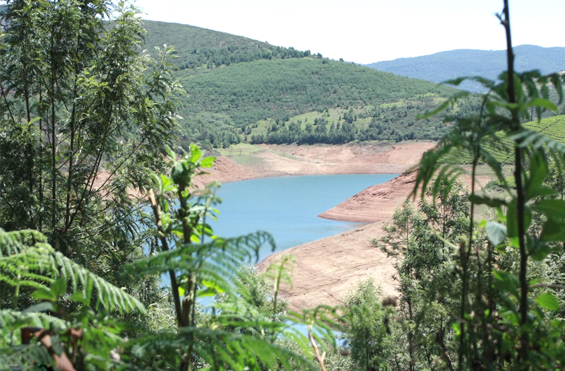coonoor tamil nadu india