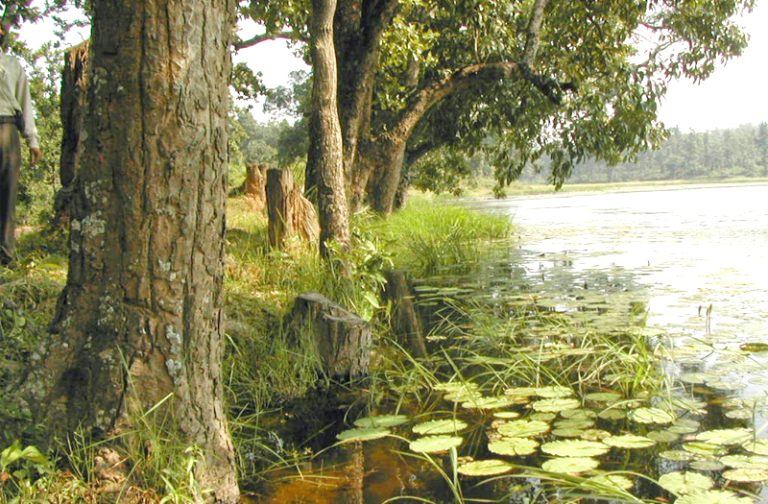 hazaribagh jharkhand india