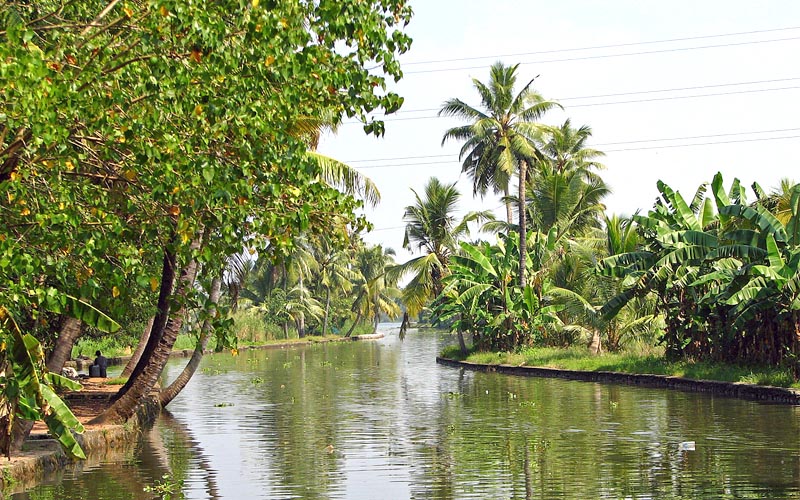 kozhikode backwaters india