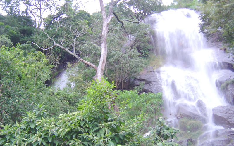 laws falls coonoor india