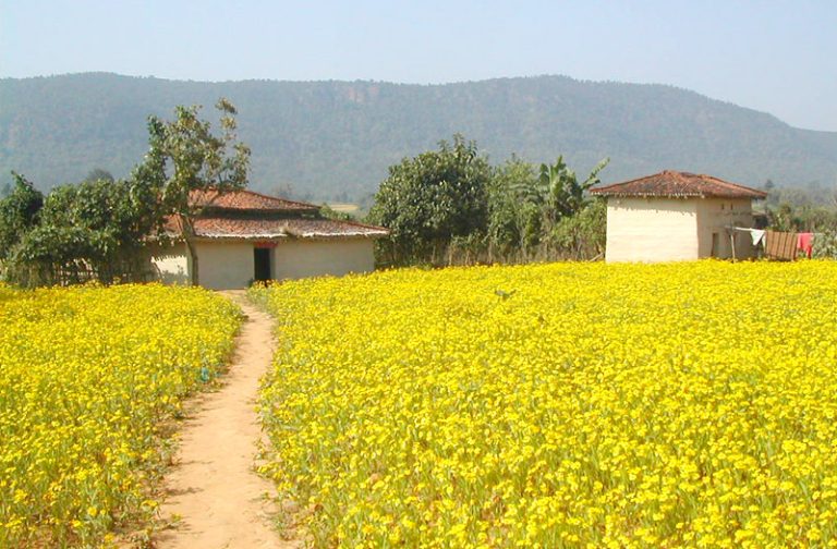 bokaro-jharkhand-india