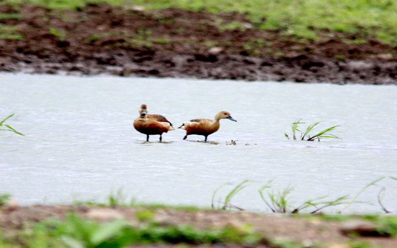 mehrun-lake-jalgaon-india