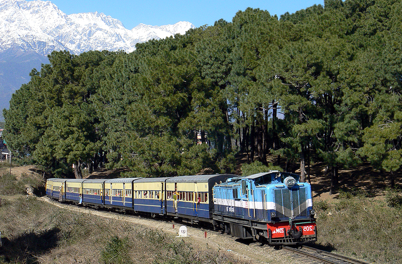 palampur-himachal-pradesh-india