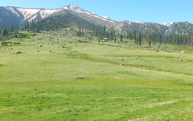 bhaderwah-doda-india