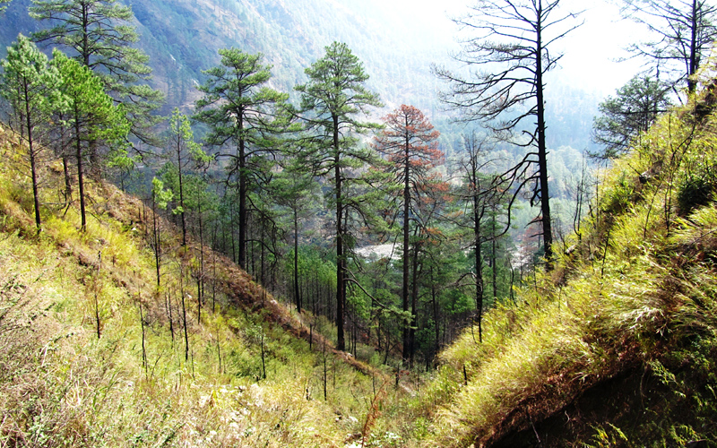 kibithoo-anjaw-india