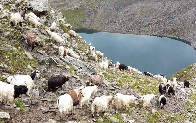 lake-of-no-return-india