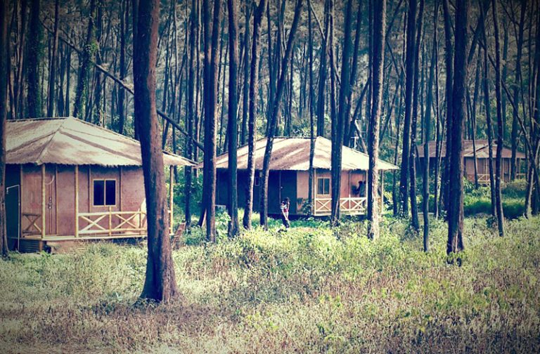 nagaon-assam-india